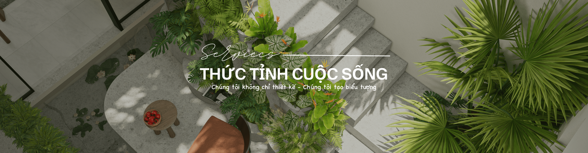 Dịch vụ