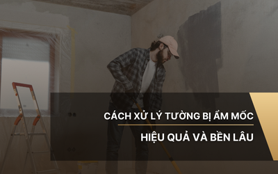 Cách Xử Lý Tường Bị Ẩm Mốc Nhanh, Hiệu Quả Và Bền Lâu