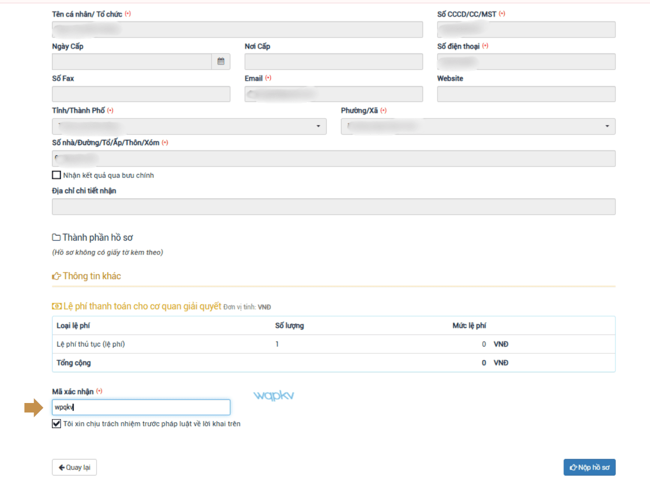 cach-nop-ho-so-qua-dich-vu-cong