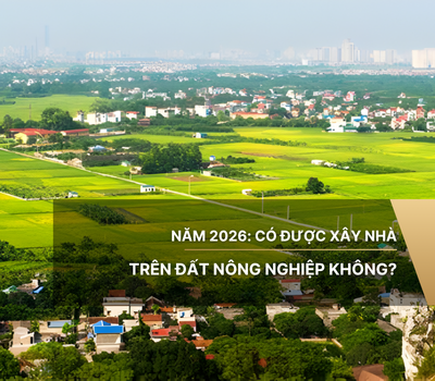 Năm 2026: Có được xây nhà trên đất nông nghiệp không?